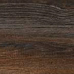 Canyon Black Oak