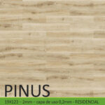 Pinus